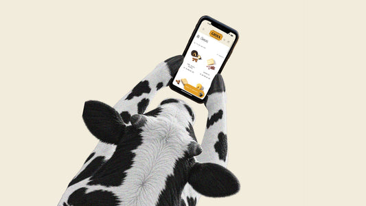 How to Order Cheese Online in Bali from GIOIA