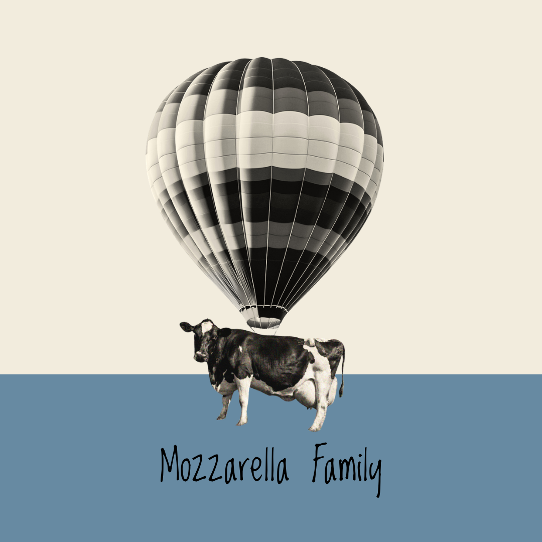 Mozzarella Family