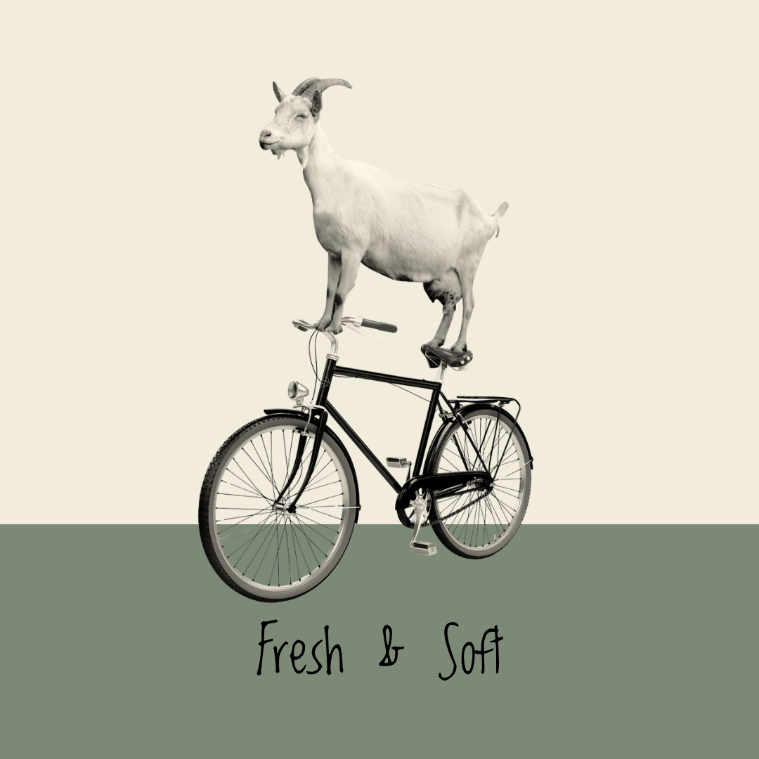 Fresh & Soft Cheeses