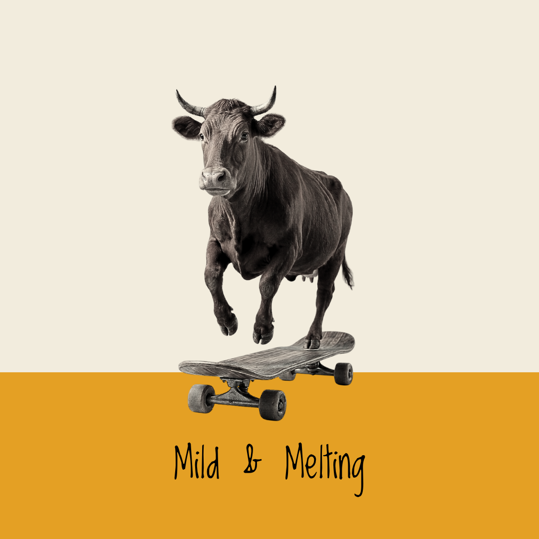 Mild & Melting Cheeses