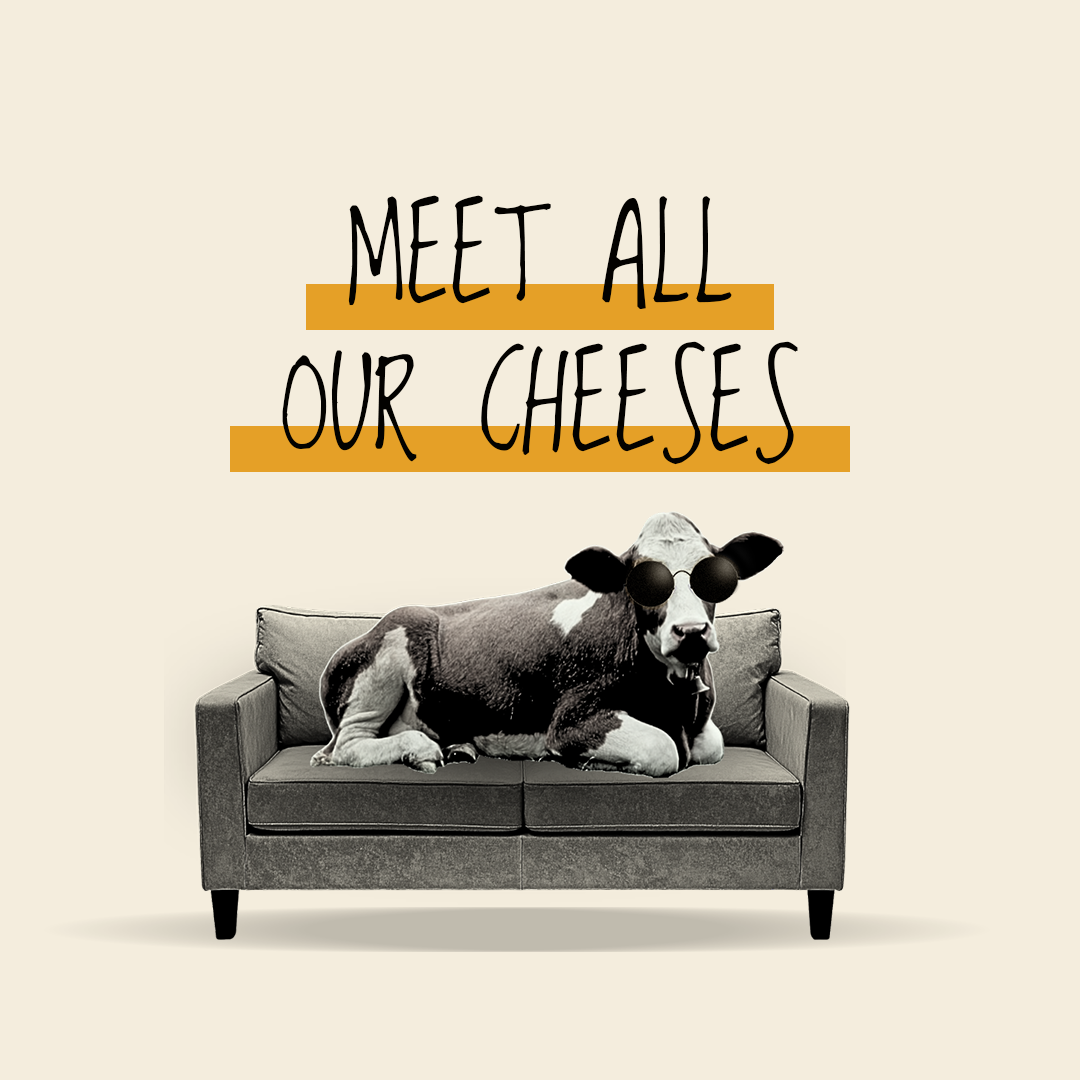 All Cheeses